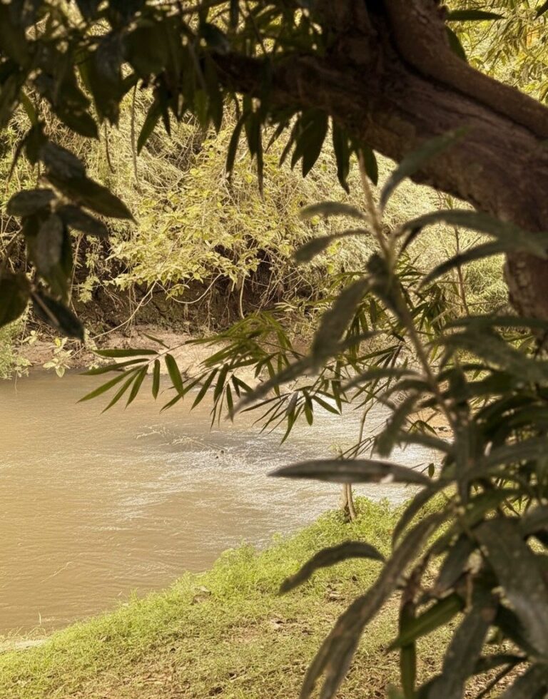 2d3365e3-649f-4eb3-930a-8b7b8fcb615f