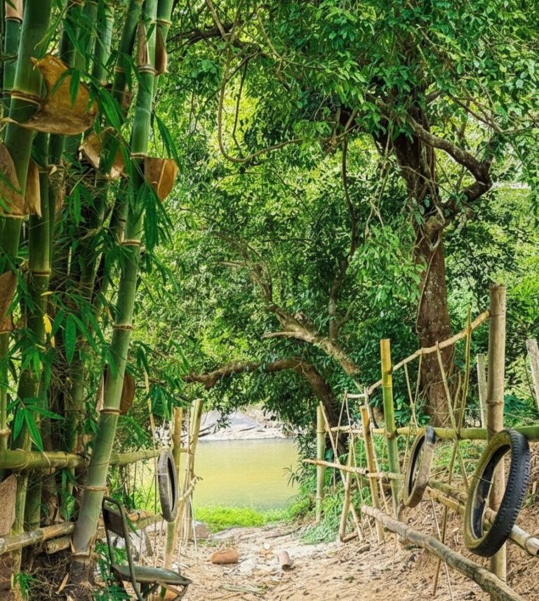 563be77e-cd10-4811-82c3-00c332d612e6