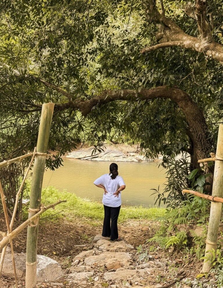 a27f5330-c947-4e81-b6a6-f3abdd933bc3